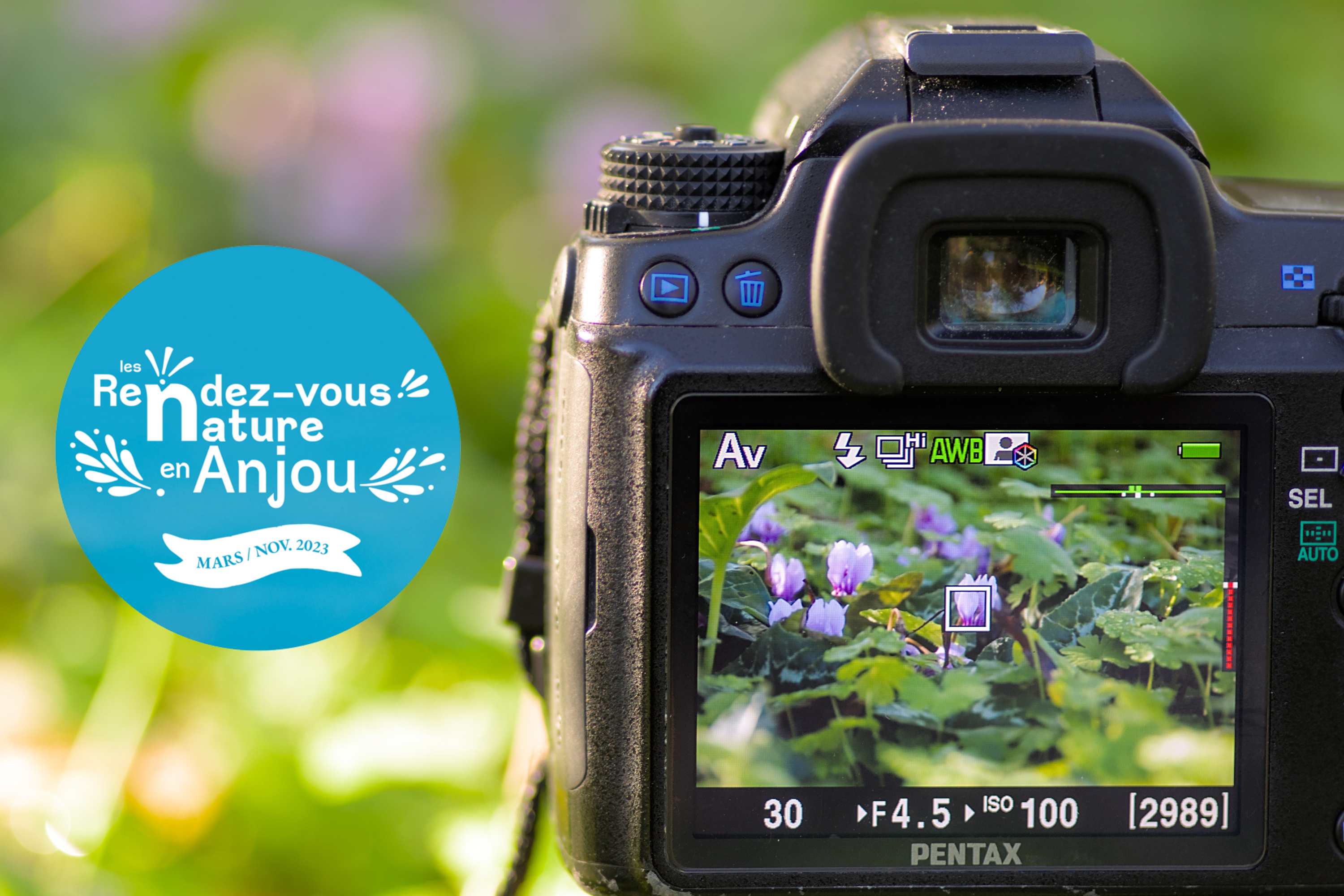 Animations les Plantes dans l’Objectif
