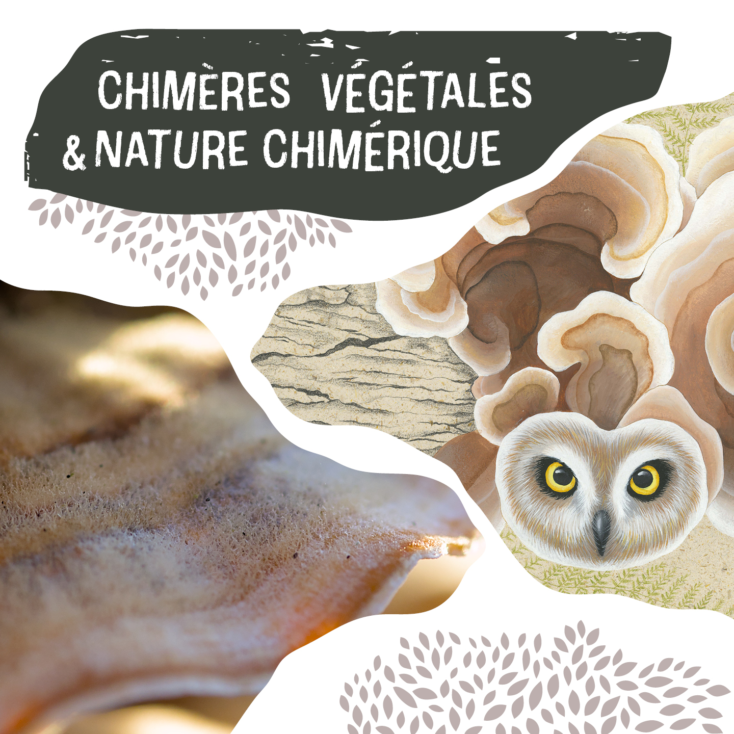 Exposition photo nature Chimères Végétales à Angers